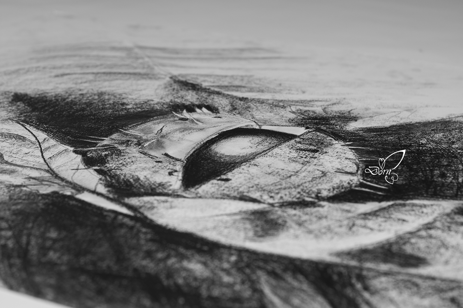 Kastanie Als Druck Daniela Dorn